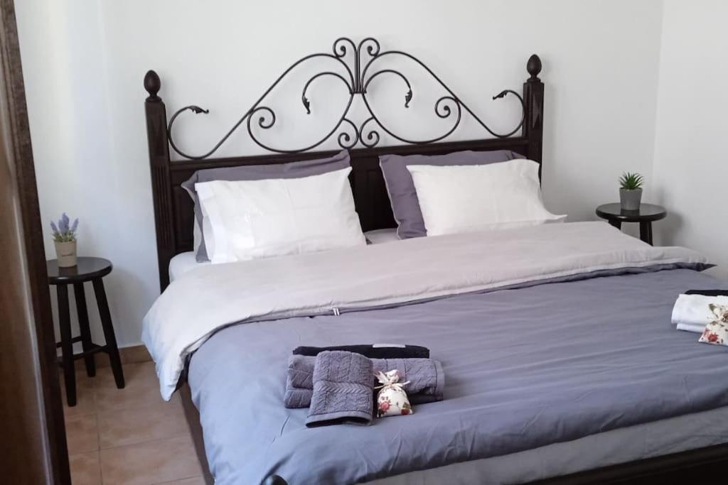 Elea Home Apartments อเล็กซานโดรโพลิส ภายนอก รูปภาพ